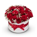 Box červených růží